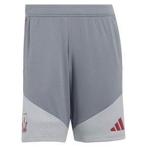 2026-2027 Liverpool EU Training Shorts (Grey)