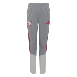 2026-2027 Liverpool EUTraining Pants (Grey) - Kids