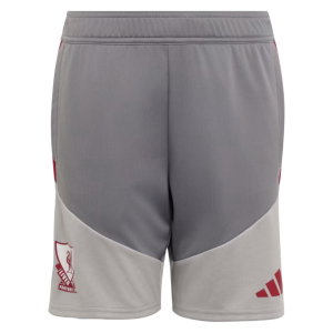 2026-2027 Liverpool EU Training Shorts (Grey) - Kids