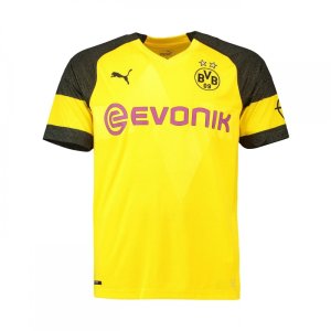 Borussia Dortmund 2018-19 Home Shirt (S) (Excellent)