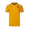 Wolves 2022-23 Pro Home Shirt (Sponsorless) (S) (Mint)