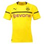 Borussia Dortmund 2018-19 European/Cup Home Shirt (L) (Very Good)
