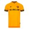Dynamo Dresden 2022-23 Home Shirt (L) (Excellent)