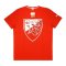 2015-16 Red Star Belgrade Puma Logo Tee (Red)