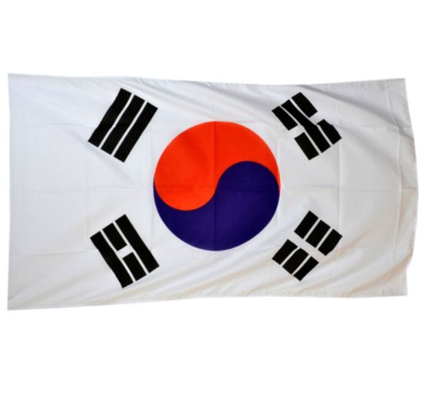 South Korea World Cup Flag