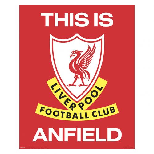 Liverpool FC Mini Poster TIA 401