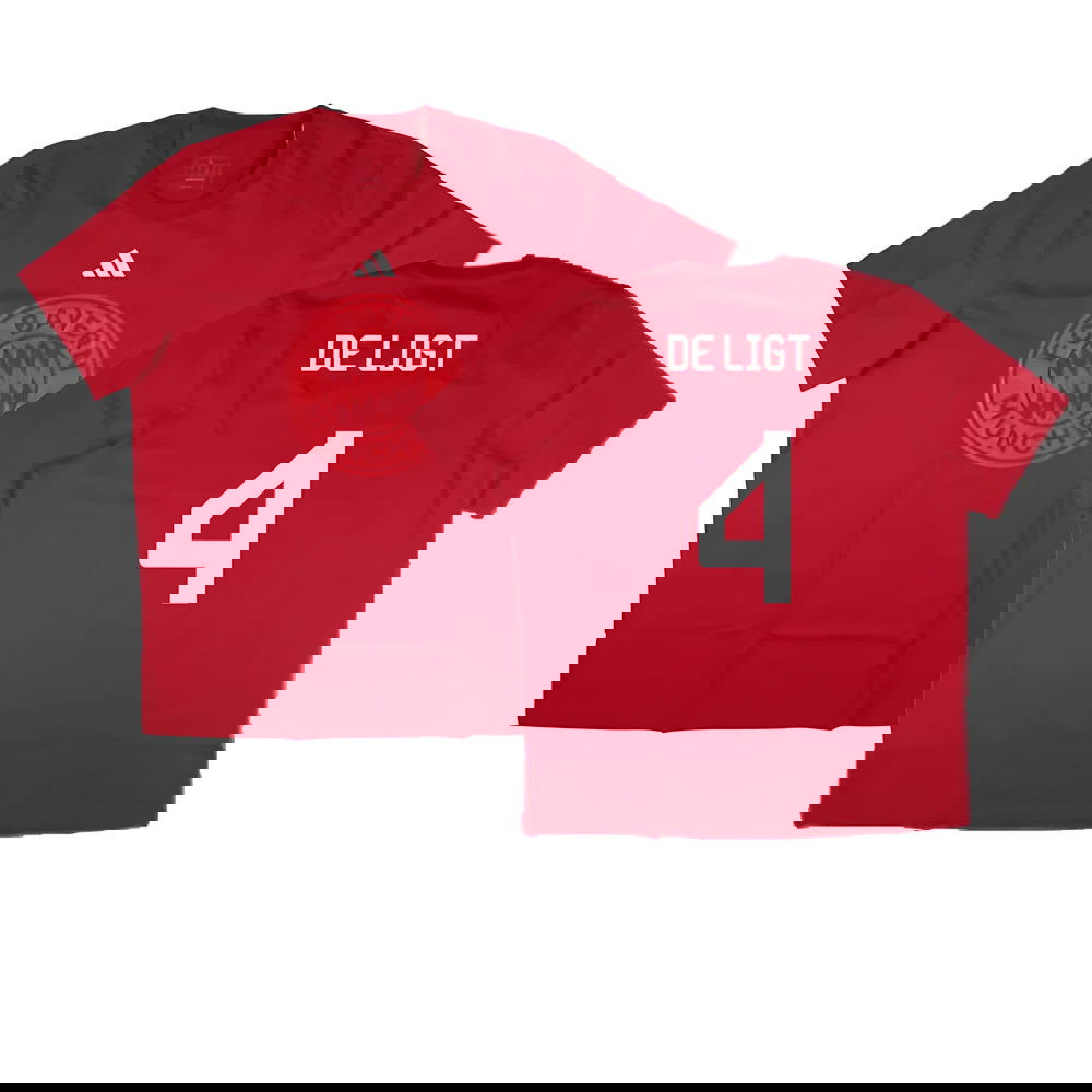 2024-2025 Bayern Munich DNA Graphic Tee (Red) (De Ligt 4)