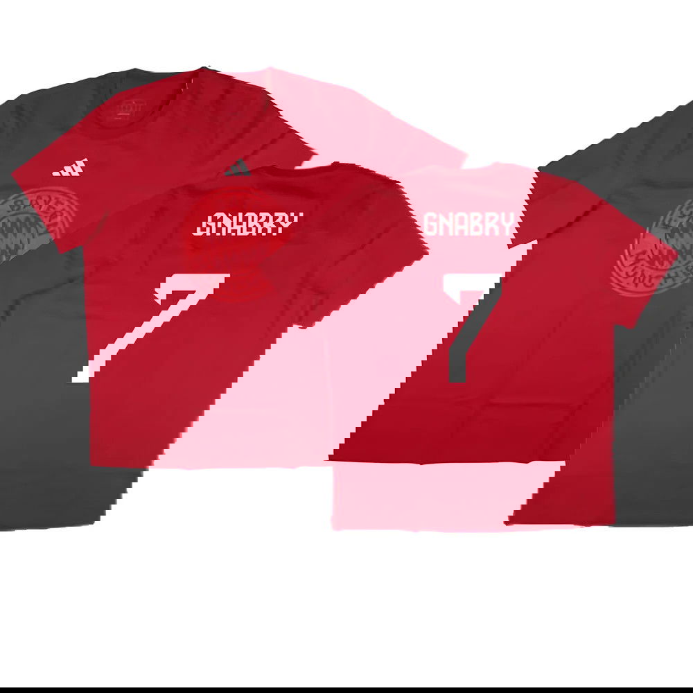 2024-2025 Bayern Munich DNA Graphic Tee (Red) (Gnabry 7)