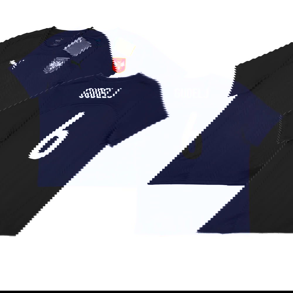2024-2025 Serbia Training Jersey (Navy) (Gudelj 6)