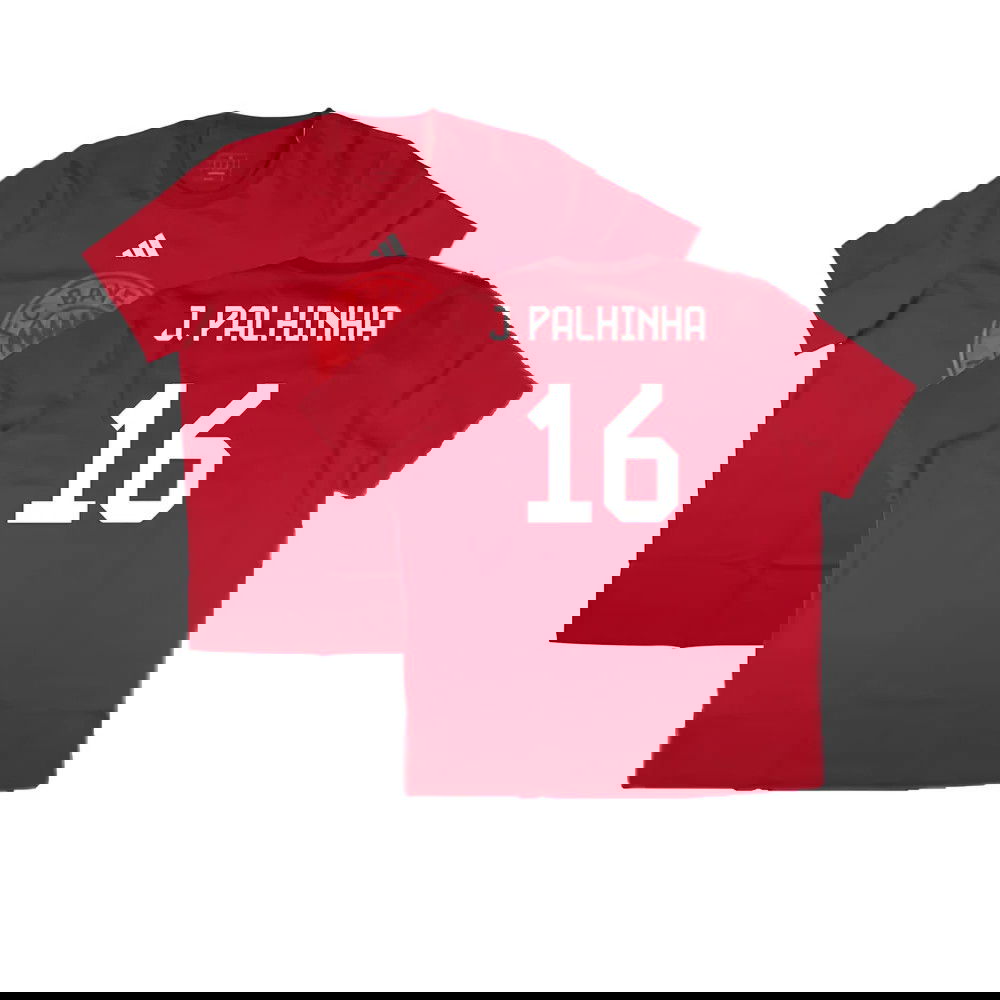 2024-2025 Bayern Munich DNA Graphic Tee (Red) (J. Palhinha 16)