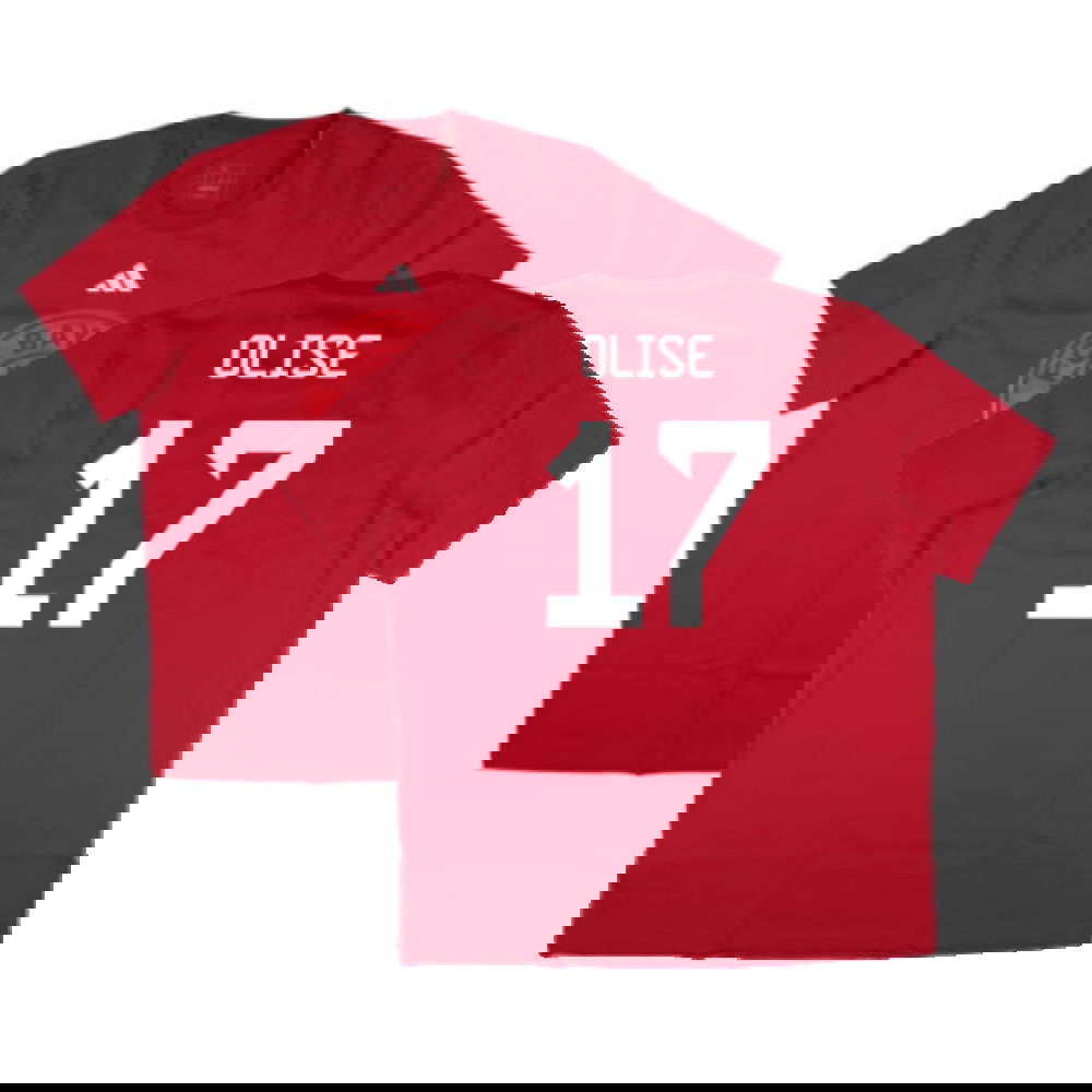 2024-2025 Bayern Munich DNA Graphic Tee (Red) (Olise 17)