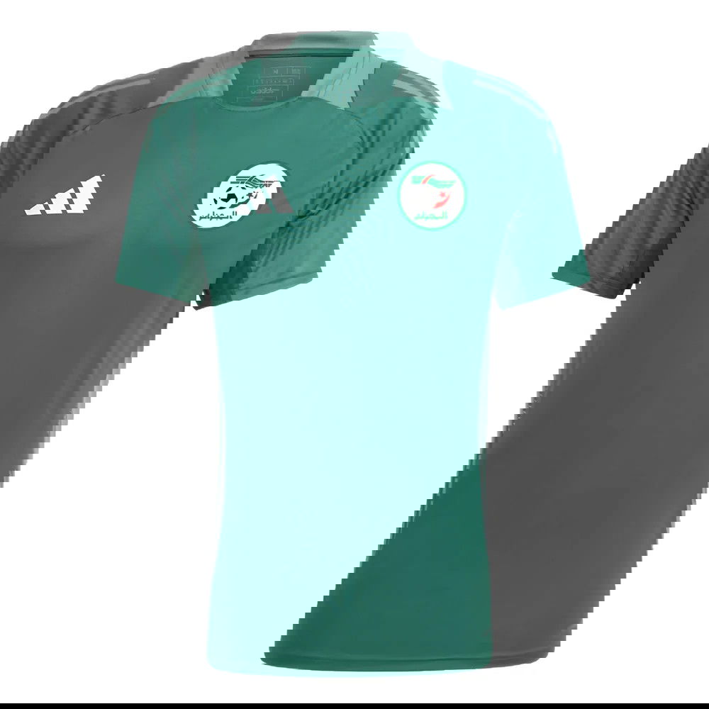 2024-2025 Algeria Training Jersey (Green)