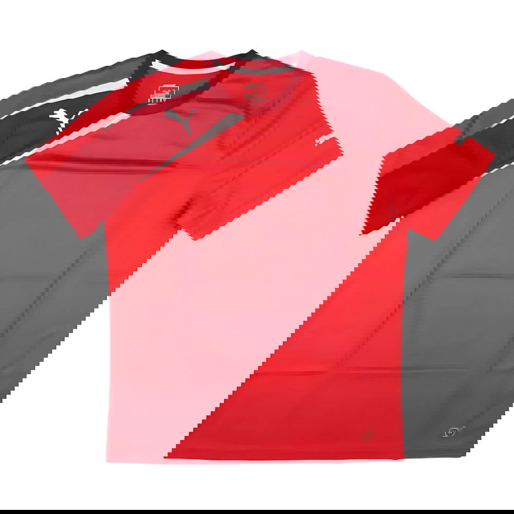 Puma Training Tee (Red)