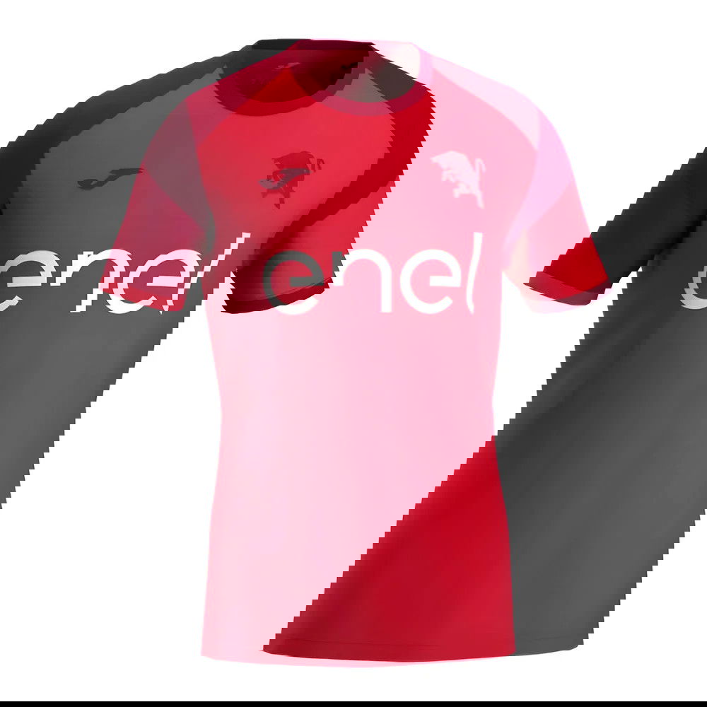 2024-2025 Torino Training Shirt (Red)