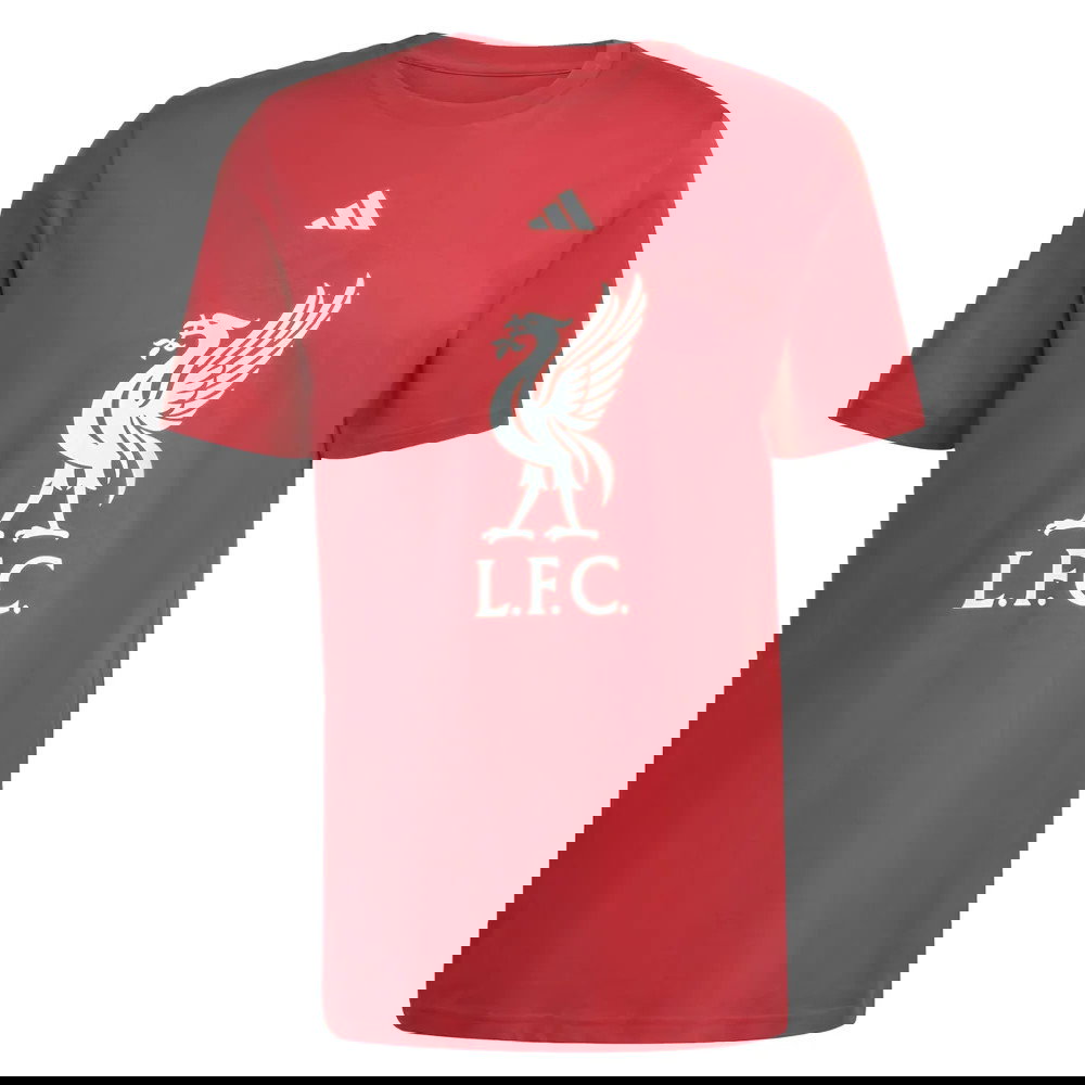 2025-2026 Liverpool DNA Graphic Tee (Red) (Rio 73)