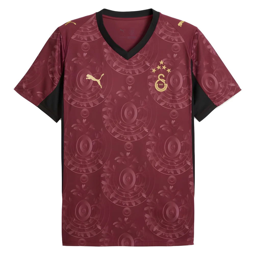 2025-2026 Galatasaray Third Shirt