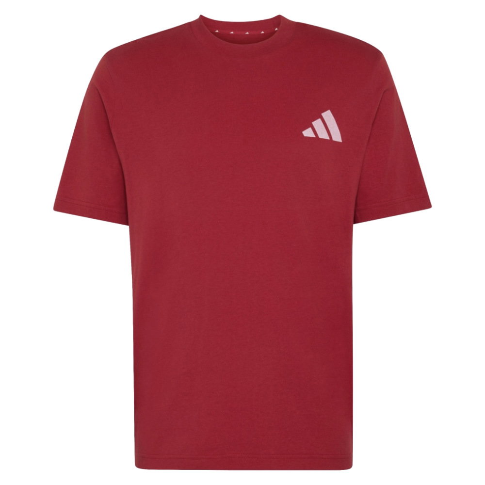 2026-2027 Liverpool Seasonal Graphic Tee (Active Maroon)