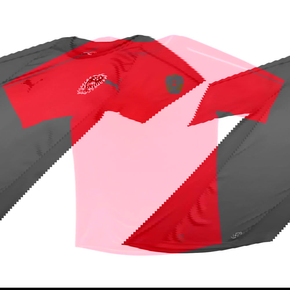 Austria 2018-19 Puma Training Shirt (S) (Mint)