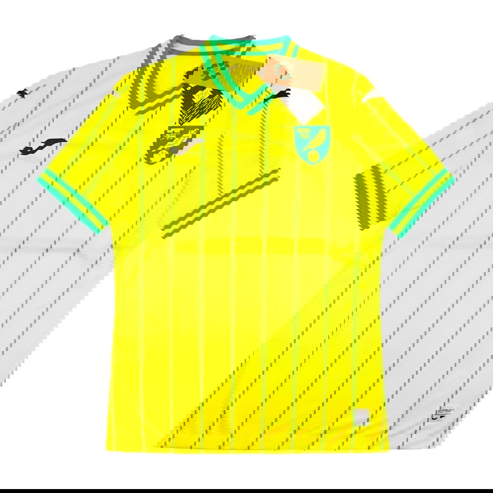 Norwich 2022-2023 Home Shirt - Sponsorless (XXL) (Mint)